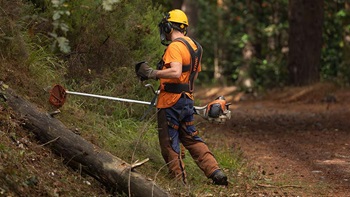 Limpeza de matas e terrenos